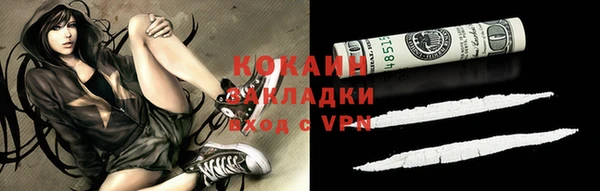spice Богородск