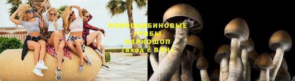 гидропоника Богданович
