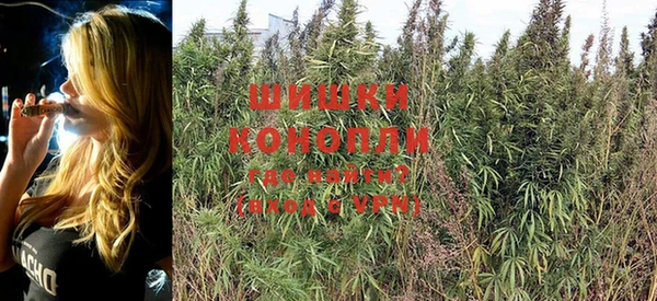 spice Богородск