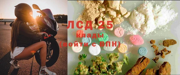 spice Богородск