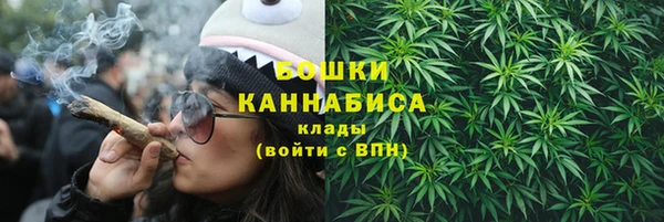 spice Богородск