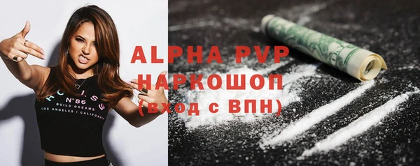 spice Богородск